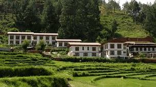 Resort Drubchchu Punakha